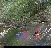 Kerewong State Forest - Accommodation Resorts