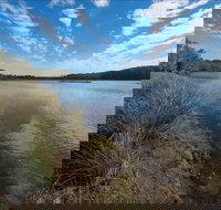 Lake Innes Nature Reserve - Accommodation Resorts