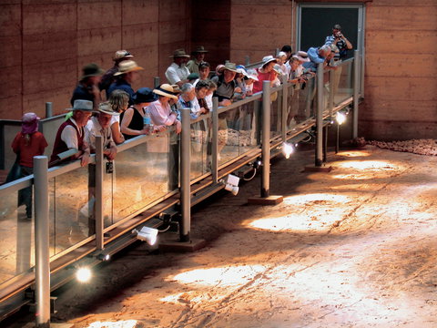 Lark Quarry Conservation Park - Accommodation Resorts 0