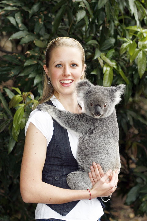 Lone Pine Koala Sanctuary - Accommodation Resorts 1