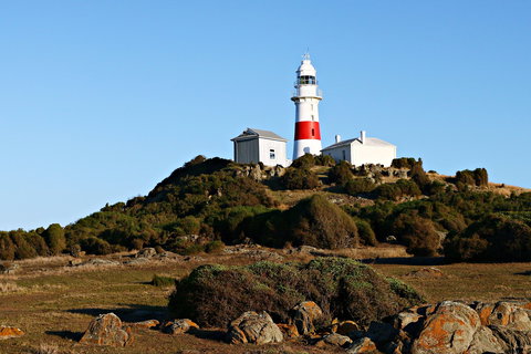 Low Head Foghorn - Accommodation Resorts 1