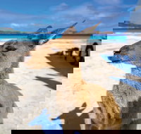 Lucky Bay - Accommodation Resorts