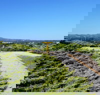 Mt Lindsay Rotary Park - Accommodation Resorts