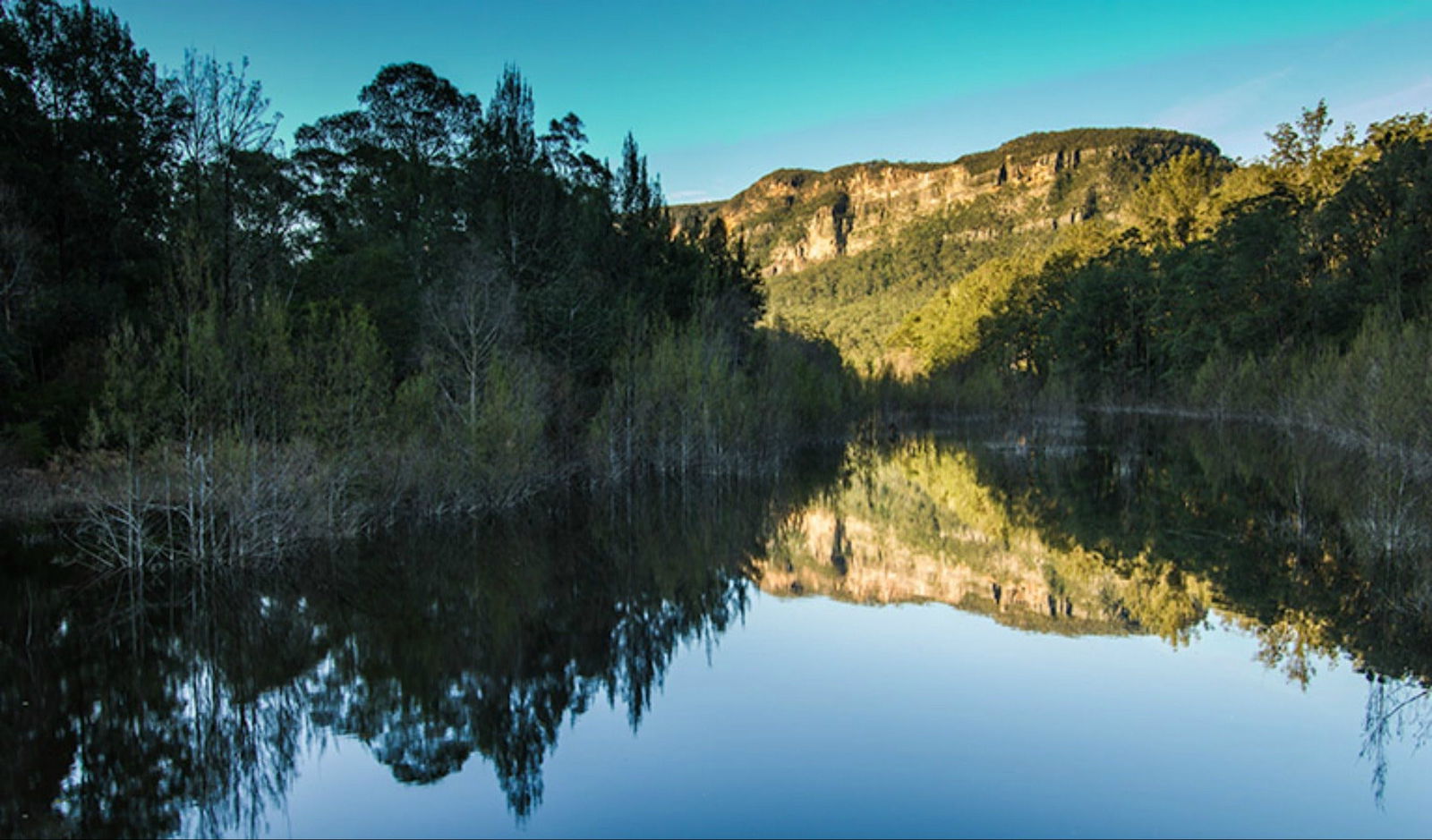 Wattle Ridge NSW Accommodation Resorts