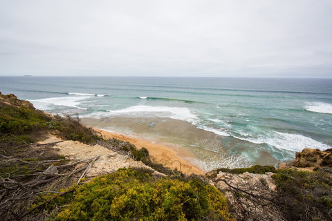 Ocean Grove Main Beach - Accommodation Resorts 1