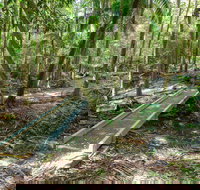 Old Bottlebutt - Accommodation Resorts