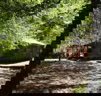 Pickering's Hut and Camping Area - Accommodation Resorts