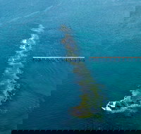 Port Noarlunga Reef Sanctuary Zone - Encounter Marine Park - Accommodation Resorts