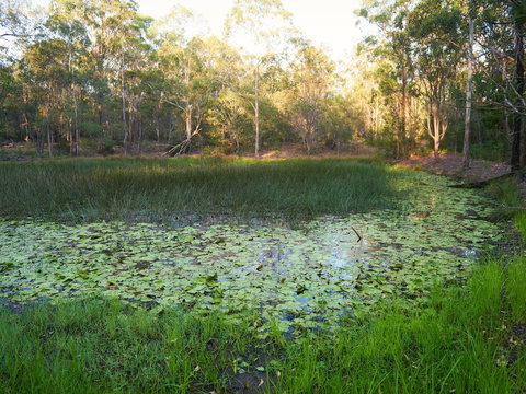 Raysource Road - Accommodation Resorts 2