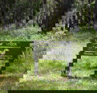 Ritchie's Hut - Accommodation Resorts