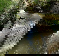 Second Ponds Creek Walk - Accommodation Resorts