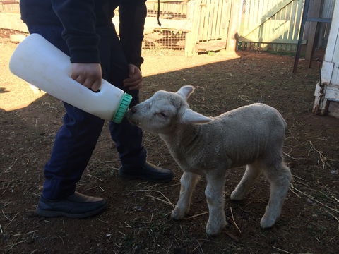 Taralga Wildlife Park - Accommodation Resorts 0