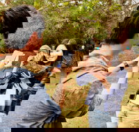 Taranna - Accommodation Resorts