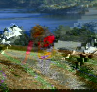 Tas-Saff - Accommodation Resorts