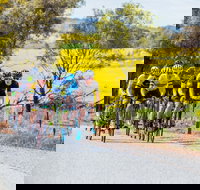 The Heron's Highway - Avon River Cycle Trail - Accommodation Resorts