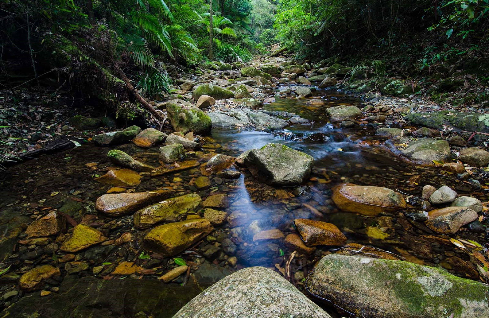 Willi Willi NSW Accommodation Resorts