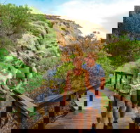 Woody Island Nature Reserve - Accommodation Resorts