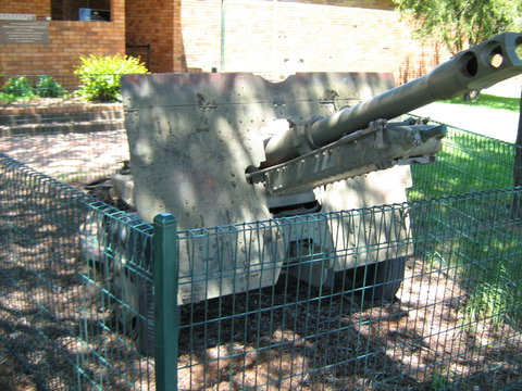 Woodpecker Gun - Accommodation Resorts 1