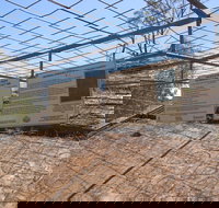 Aboriginal Carvings - Accommodation Resorts