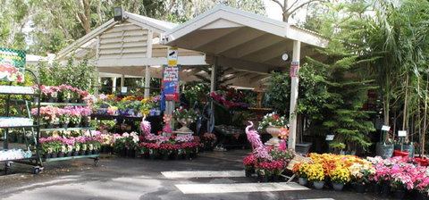 Adare - Accommodation Resorts 2