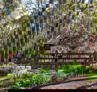 Armadale - Accommodation Resorts