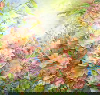 Barossa Chateau Artist in Residence - Accommodation Resorts