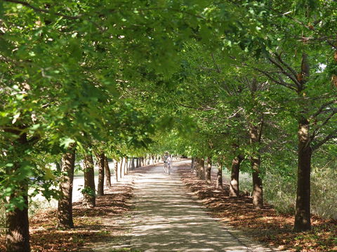Beechworth To Everton Station 16km - Accommodation Resorts 1