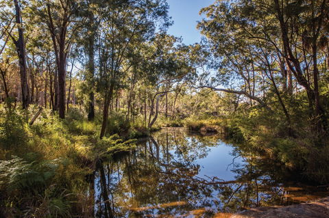 Blackdown Tableland National Park - Accommodation Resorts 2