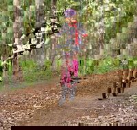 Bom Bom State Forest Mountain Bike Trails - Accommodation Resorts