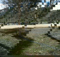 Bombala Platypus Reserve - Accommodation Resorts