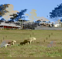 Calmsley Hill City Farm - Accommodation Resorts