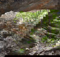 Cave Creek Walking Track - Accommodation Resorts