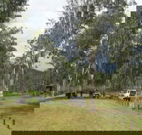 Chaelundi National Park - Accommodation Resorts
