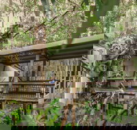 Daisy Hill Koala Centre - Accommodation Resorts