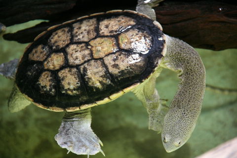 Discover Deadly - Accommodation Resorts 1