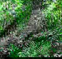 Djiru National Park - Accommodation Resorts