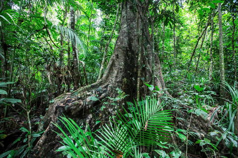 Djiru National Park - Accommodation Resorts 0