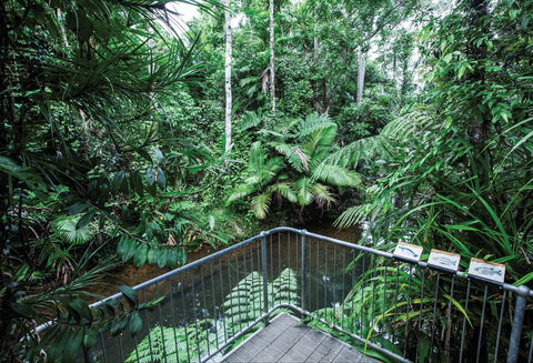 Djiru National Park - Accommodation Resorts 1