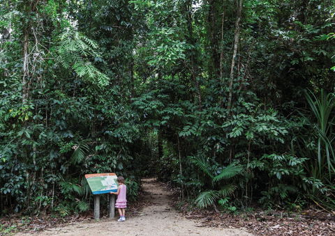 Djiru National Park - Accommodation Resorts 2