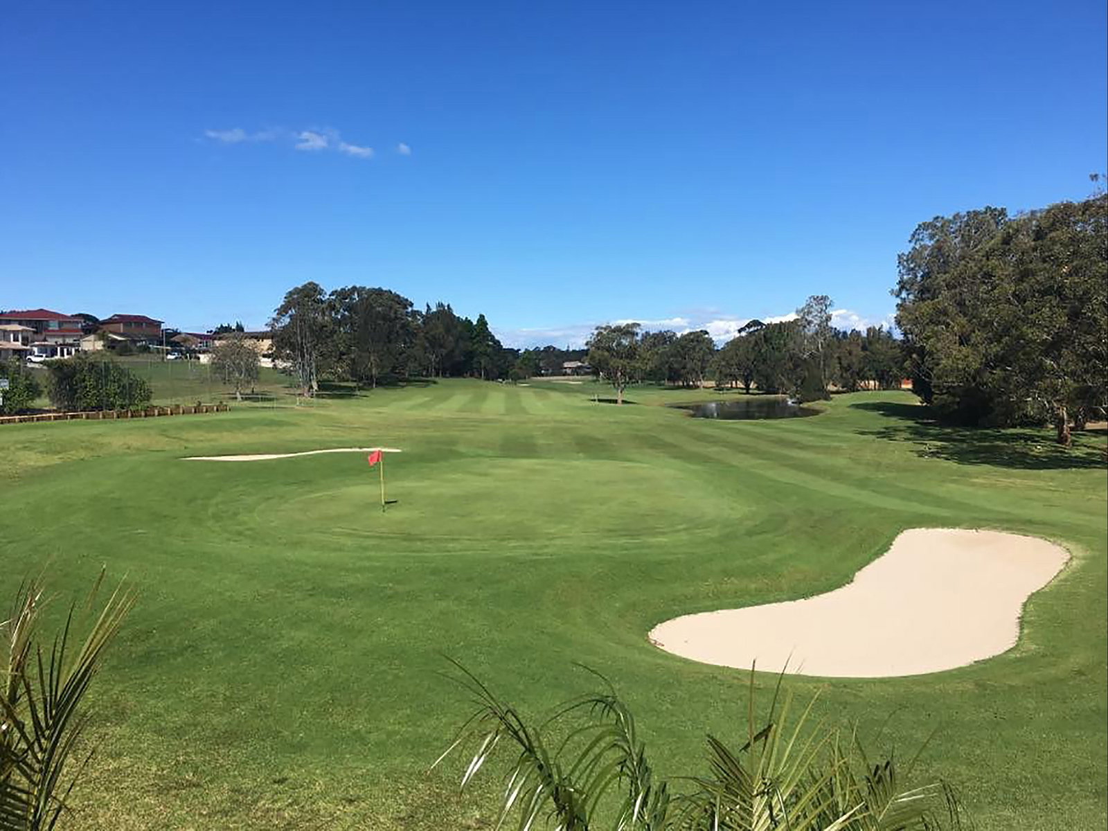 Lighthouse Beach NSW Accommodation Resorts