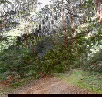 End Peak walking track - Accommodation Resorts