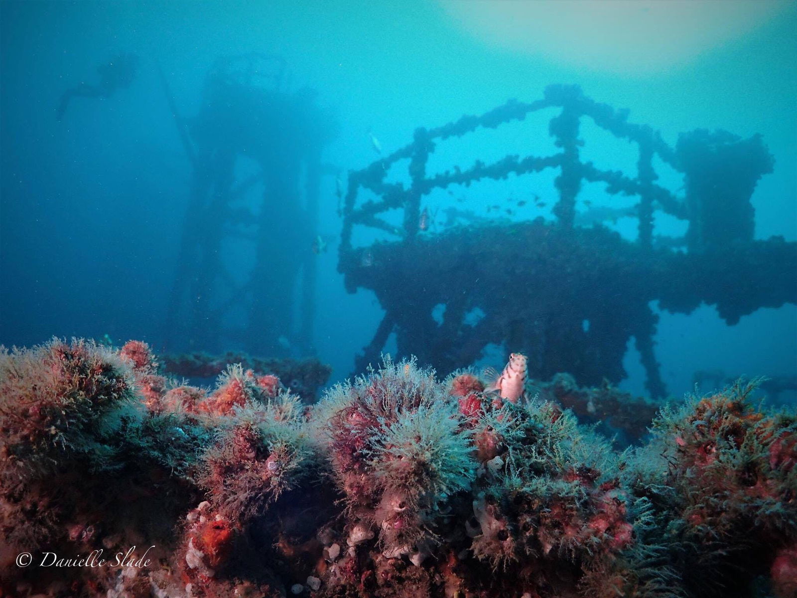 Killarney Vale NSW Accommodation Resorts