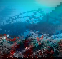 ex HMAS Adelaide - Accommodation Resorts