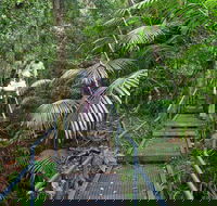 Falls walking track - Accommodation Resorts