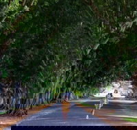 Fig Tree Avenue - Accommodation Resorts