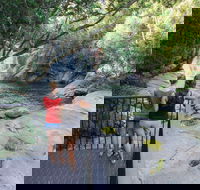 Josephine Falls walking track Wooroonooran National Park - Accommodation Resorts