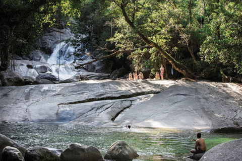 Josephine Falls Walking Track, Wooroonooran National Park - Accommodation Resorts 1