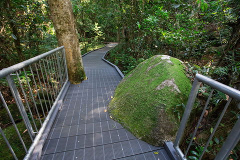 Josephine Falls Walking Track, Wooroonooran National Park - Accommodation Resorts 2