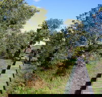 Kepwari Trails Wetland Wonderland - Accommodation Resorts