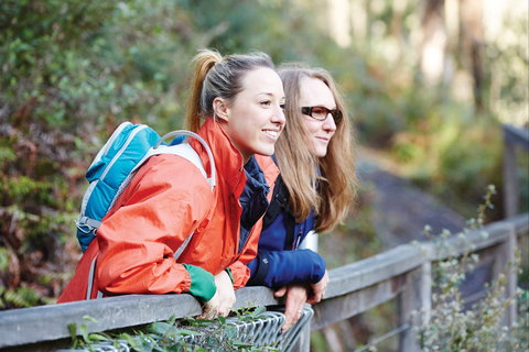 Kinglake National Park - Accommodation Resorts 2